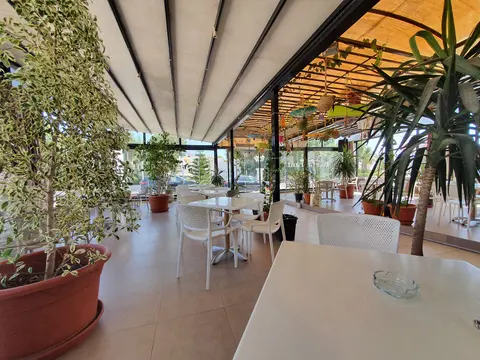 Foto de Café 203