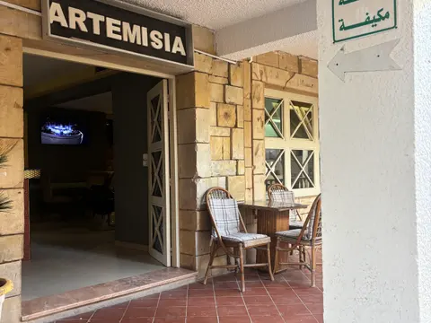 Foto di Cafe Artemisia