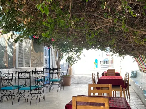 Picture of Restaurant Zitouna